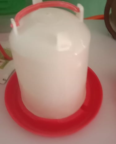 Imported drinker 2+1/2 litres 