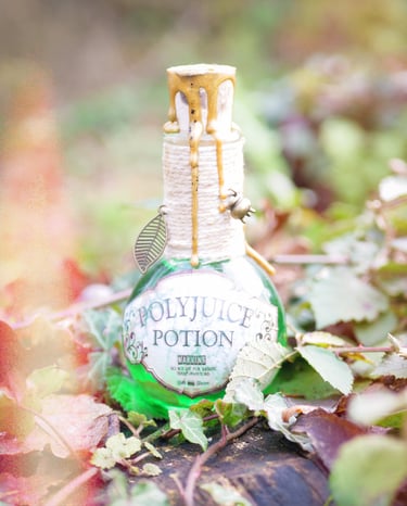 polynectar polyjuice potion harry potter potion magique décorative cabinet curiosité