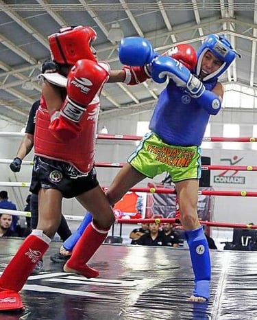 Noticias y actualidad de artes marciales