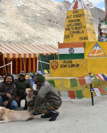 Dog Boarding, Dog Boarding near me, Pet Boarding, Pet Boarding near me, Dog Care, Happy Pettings