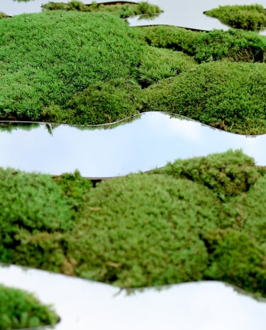 a group of birds flying over a field of moss