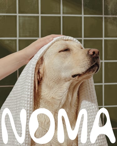 Projet Fictif - NOMA - Studio Luana - Brand Designer - Graphiste