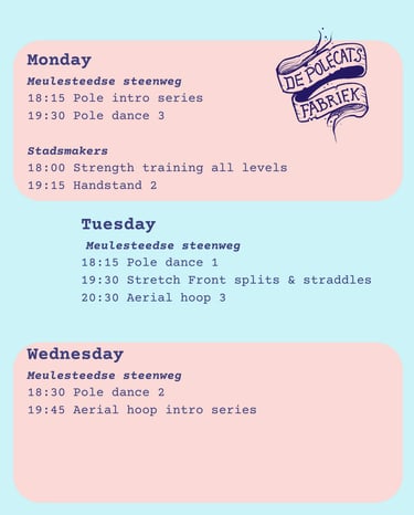 Weekly class schedule for De Polecats Fabriek featuring pole dance, aerial hoop, and strength training.