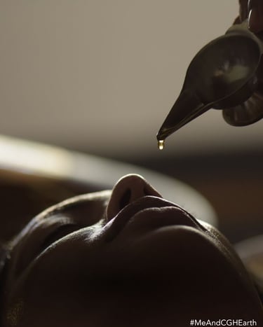 nasya therapy as morning ritual in ayurveda