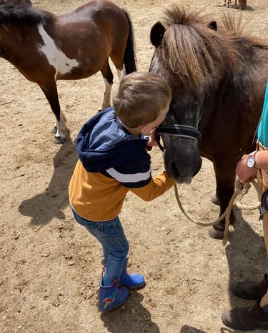 enfant faisant un bisous à son poney lors d'une séance d'équithérapie