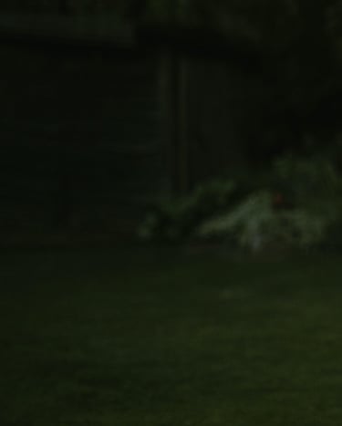 tamsiai žalios spalvos fonas