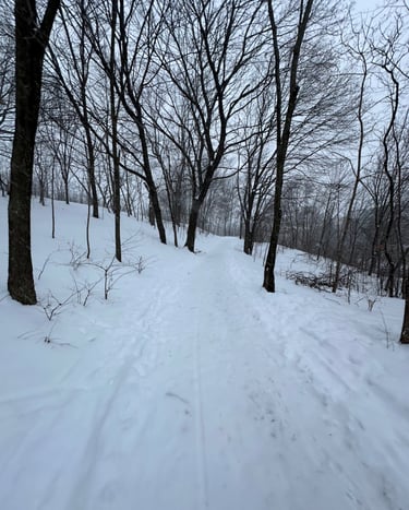 a snowy train at Mont-Royal