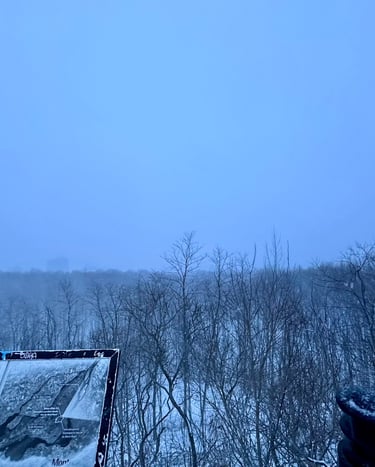 an overlook from Mont-Royal looking into a white wall of snow