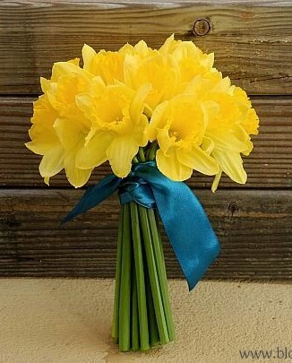 bouquet de jonquilles déposé sur tombe pays de la loire pas cher 14€
