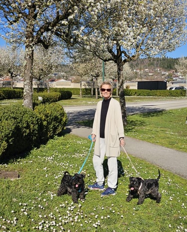 Printemps à l'élevage