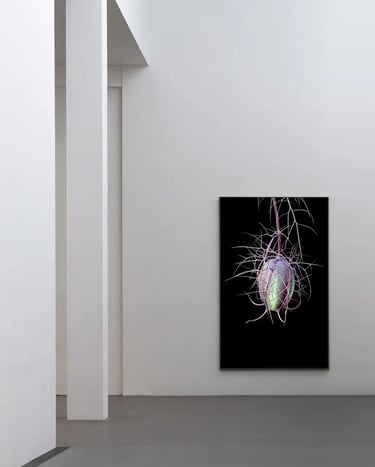 digital art, visual art, Joanna Wlaszyn