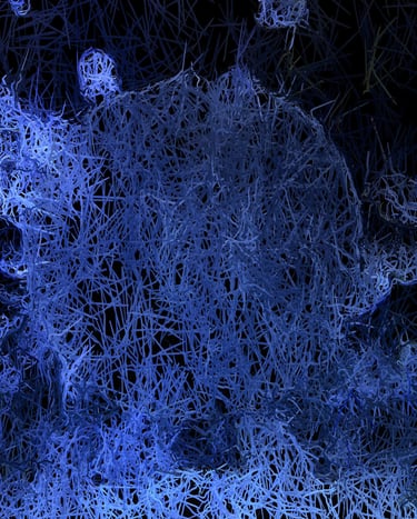 digital art, visual art, digital paintings, Joanna Wlaszyn