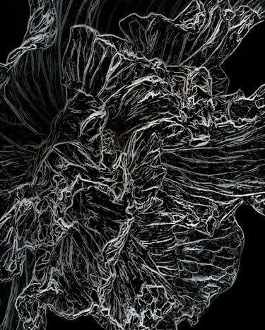 digital art, visual art, digital paintings, Joanna Wlaszyn