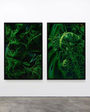 digital art, visual art, digital paintings, Joanna Wlaszyn