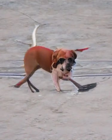 digital art, visual art, AI art, Joanna Wlaszyn