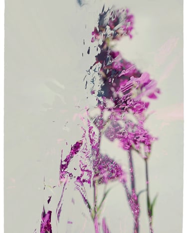 digital art, visual art, digital paintings, Joanna Wlaszyn