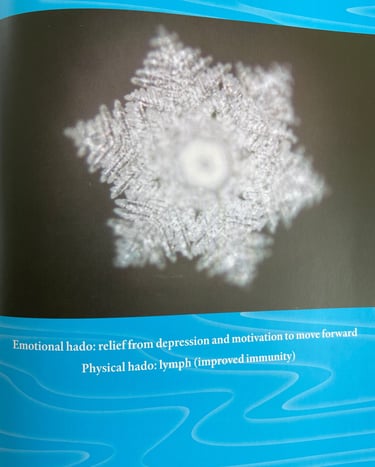 a page of the book: emotional hado by claude debussy