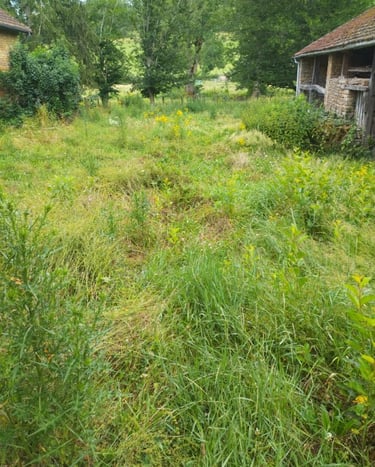 jardinage entretien maison secondaire paysagiste à cluny 71