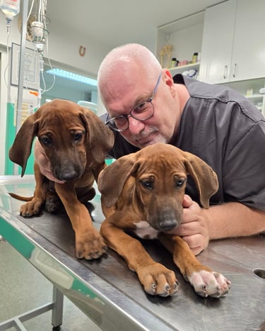 Dr Vladimir Ćirković