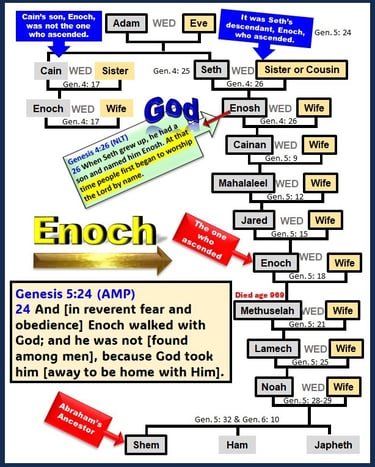Biblical Family Trees - Enoch's family tree from Seth’s line- designed by Debbie Dunn using PowerPoi