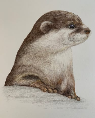 Otter