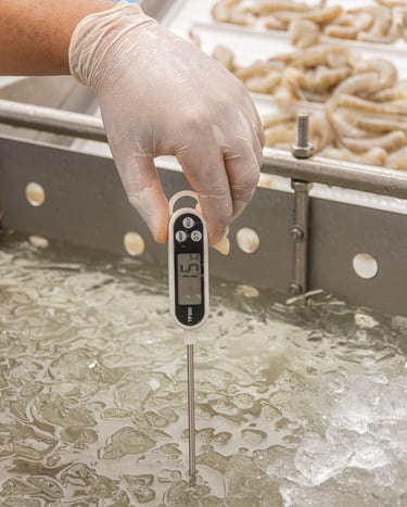 Controle de temperatura na produção de camarão Camarão do Sol