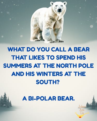 Polar bear with text about being a "bi-polar bear" enjoying summer at North Pole & winters at south.