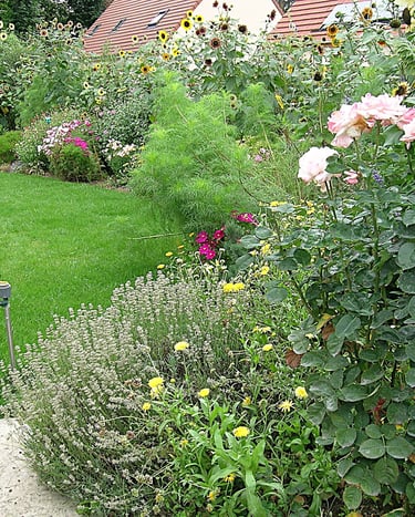 Jardin en longueur - haut du jardin
