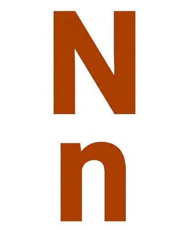 Uppercase and lowercase letter N in a bold burnt orange font on a plain white background.