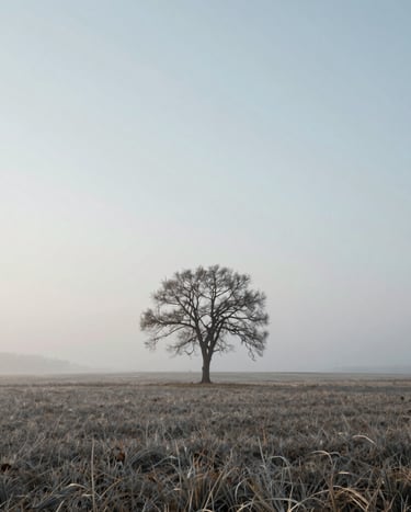 Minimalist landscape photography of a lone tree in a vast, foggy field under a soft morning light, muted silver and pale blue tones, International / Western countryside.