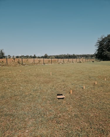 TOŠIS žaidimų nuoma šventėms Klaipėdoje