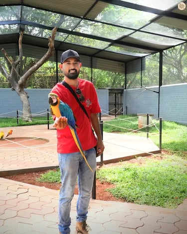 Colorful macaw sitting on a visitor’s hand at Rajali Bird Park, Thanjavur