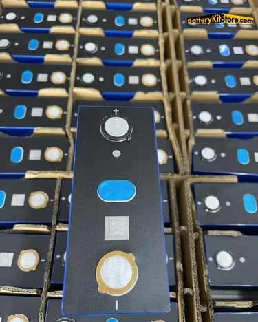 detail of LiFePO4 prismatic battery cells