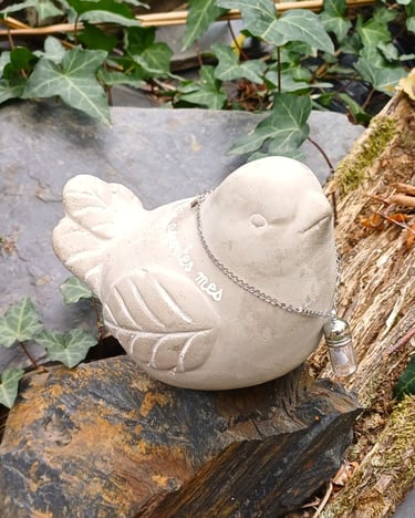 oiseau pour porter message personne disparu