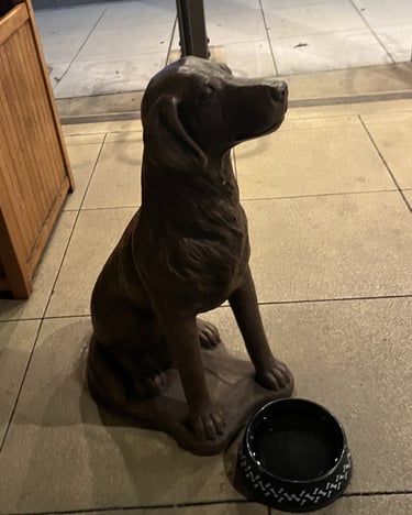 dog friendly travel monterey california