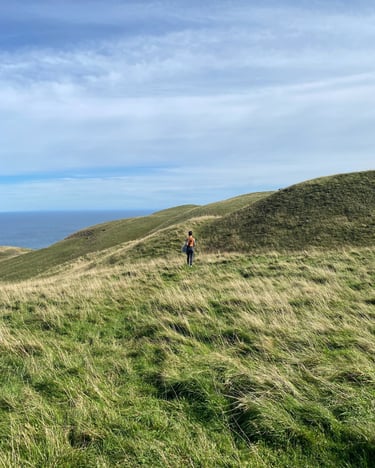 Entry Island