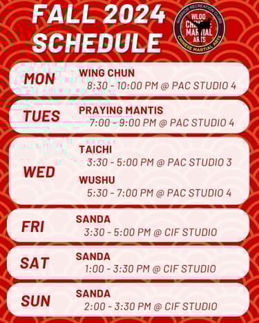 Martial Arts - Tai Chi Class