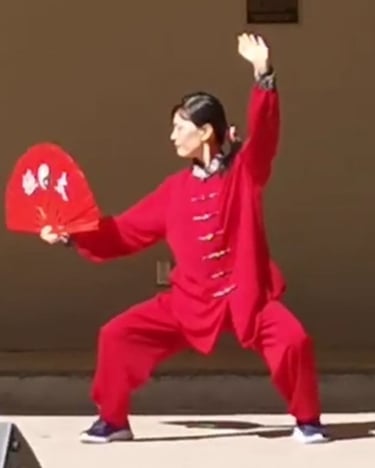 Tai Chi Fan performance, demonstration 