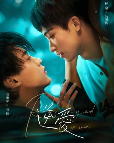 Revenged Love