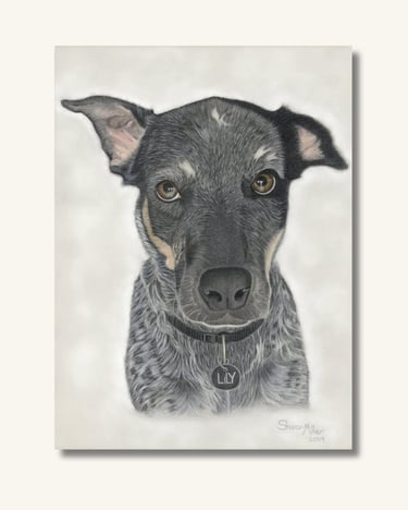Commissioned Dog Portrait