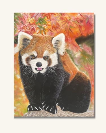 Red Panda Art