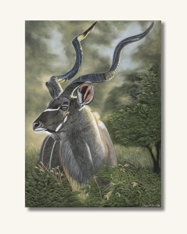 Greater Kudu artwork