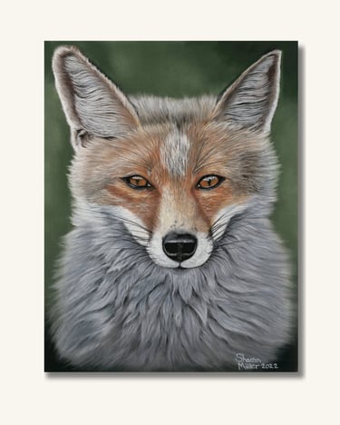 Red Fox Original Painting