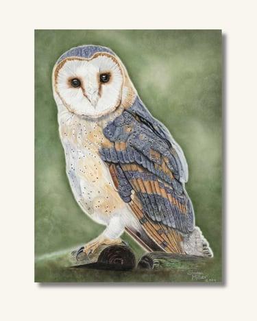Owl Original Painting