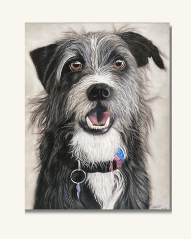 Australian Pet Portrait Artist