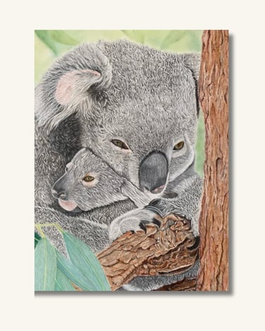 Koala Original Painting