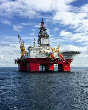Bridge and offshore structure edges marine fender panels