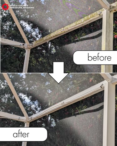 Pool cage lanai power washing Palm Harbor, FL