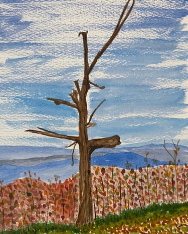 Original watercolor painting of a solitary tree centered in an autumn Shenandoah landscape