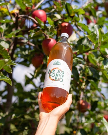 Jus de pomme 100% bio des vergers familiaux de La Ferme du Coteau, Tournon en Savoie
